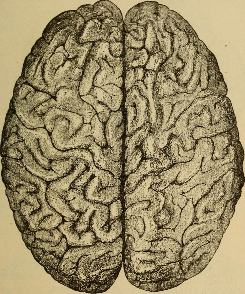 Crossing The Brain Divide